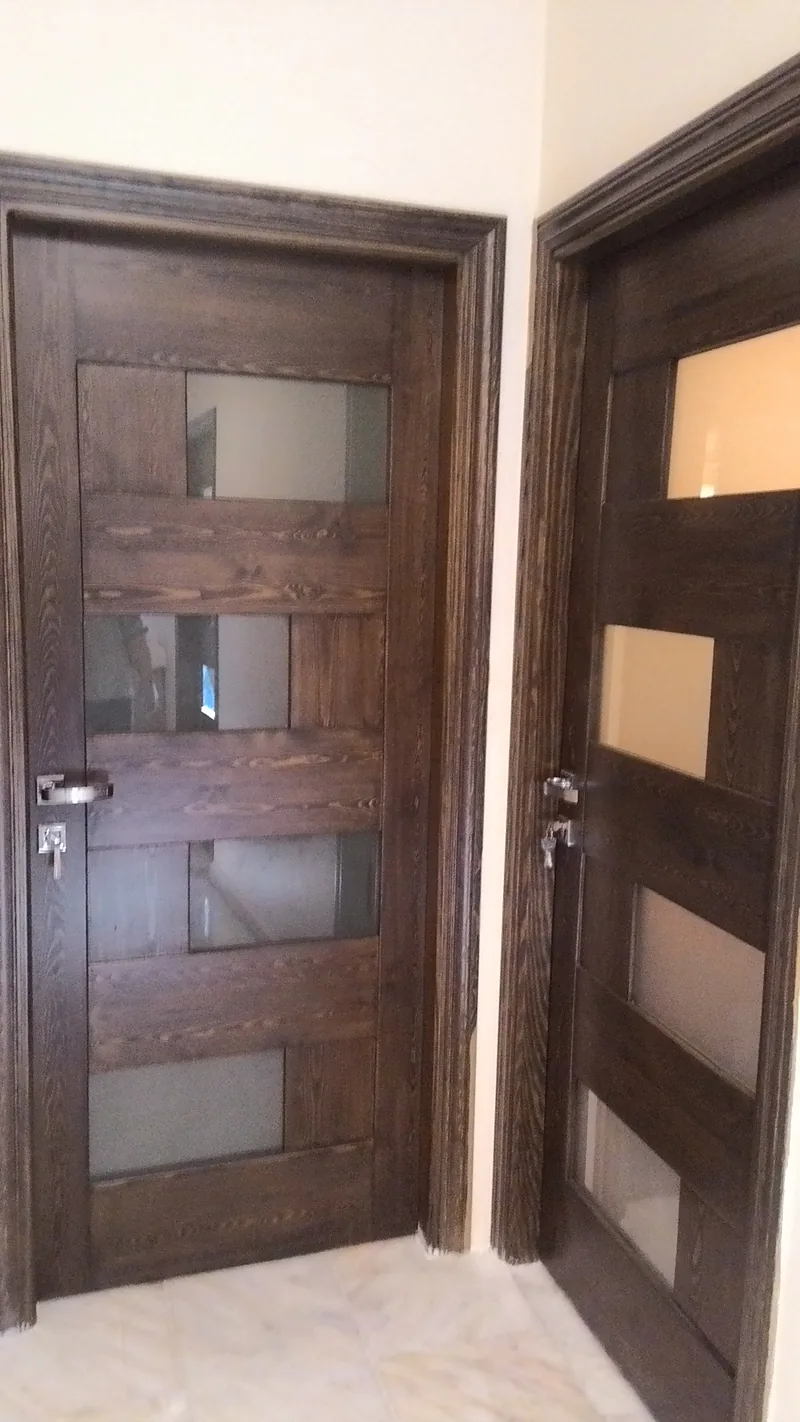 Deux portes intérieures en bois foncé à vitrages rectangulaires